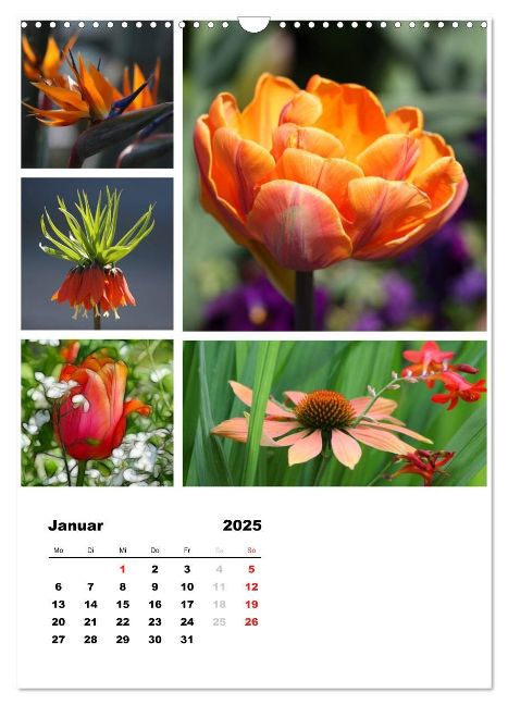 additionalImage6