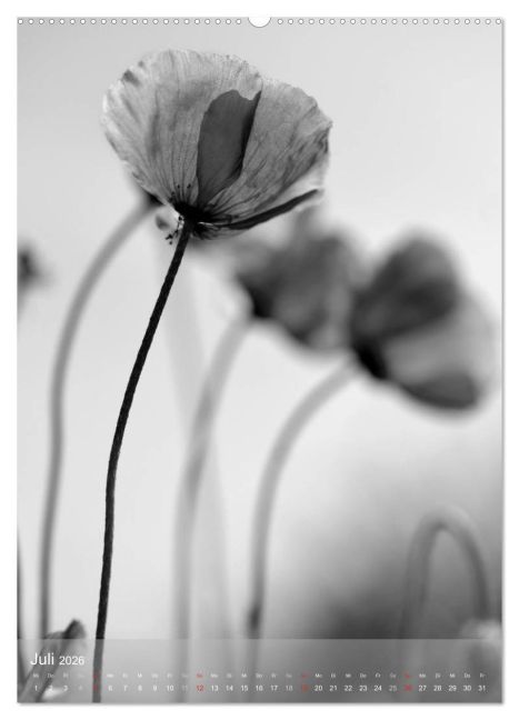 additionalImage11