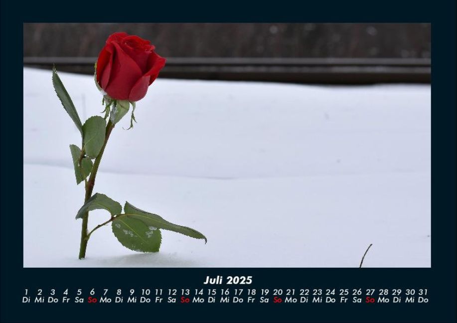 additionalImage11