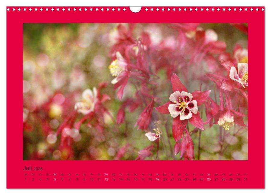 additionalImage12