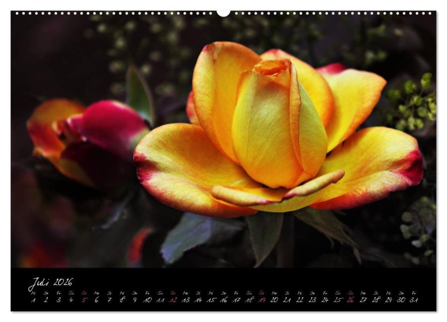 additionalImage12