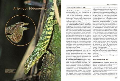additionalImage3