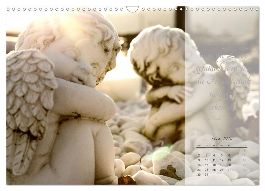 additionalImage8