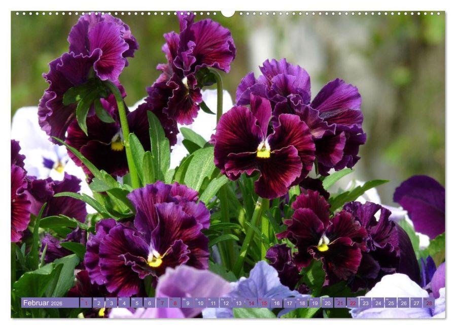 additionalImage6