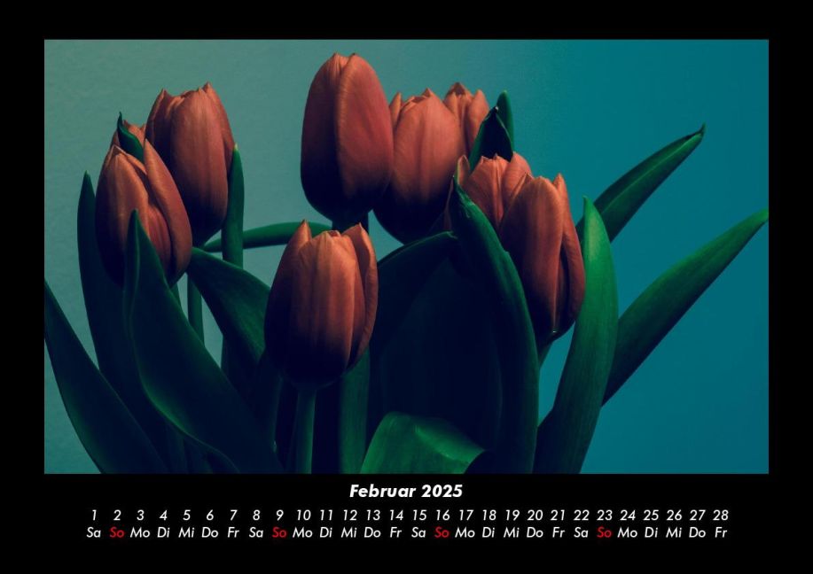 additionalImage6