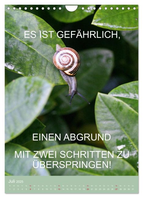 additionalImage12