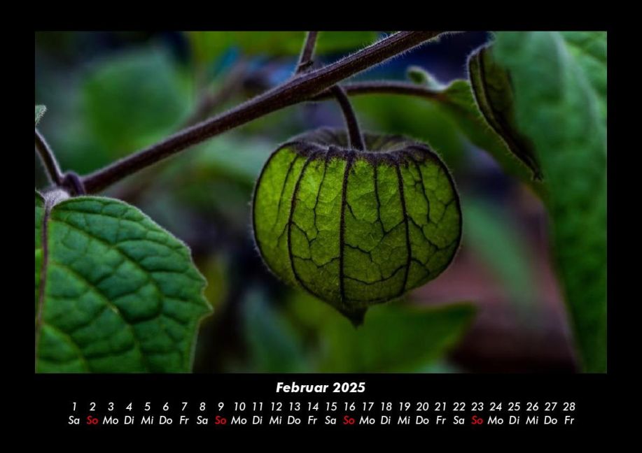 additionalImage6