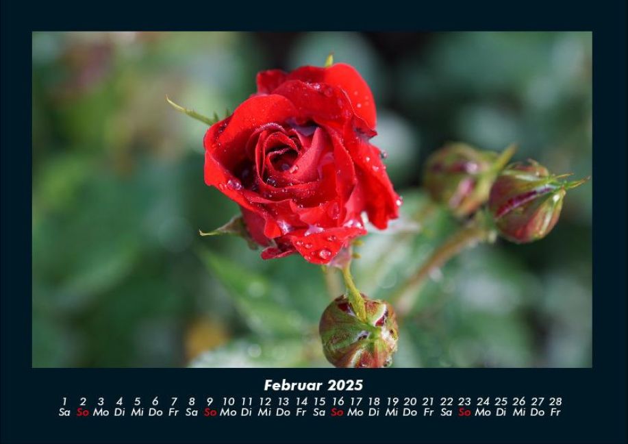 additionalImage6