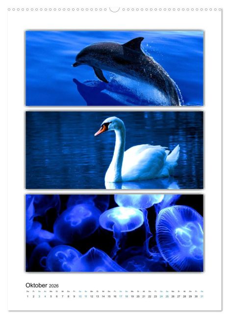 additionalImage1