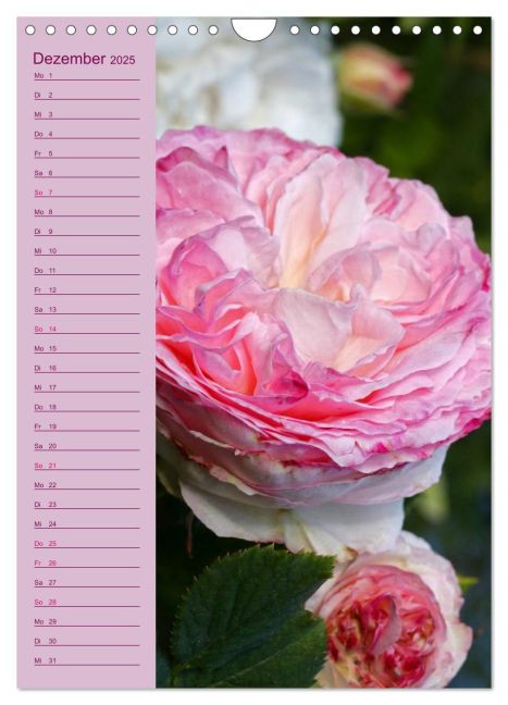 additionalImage4