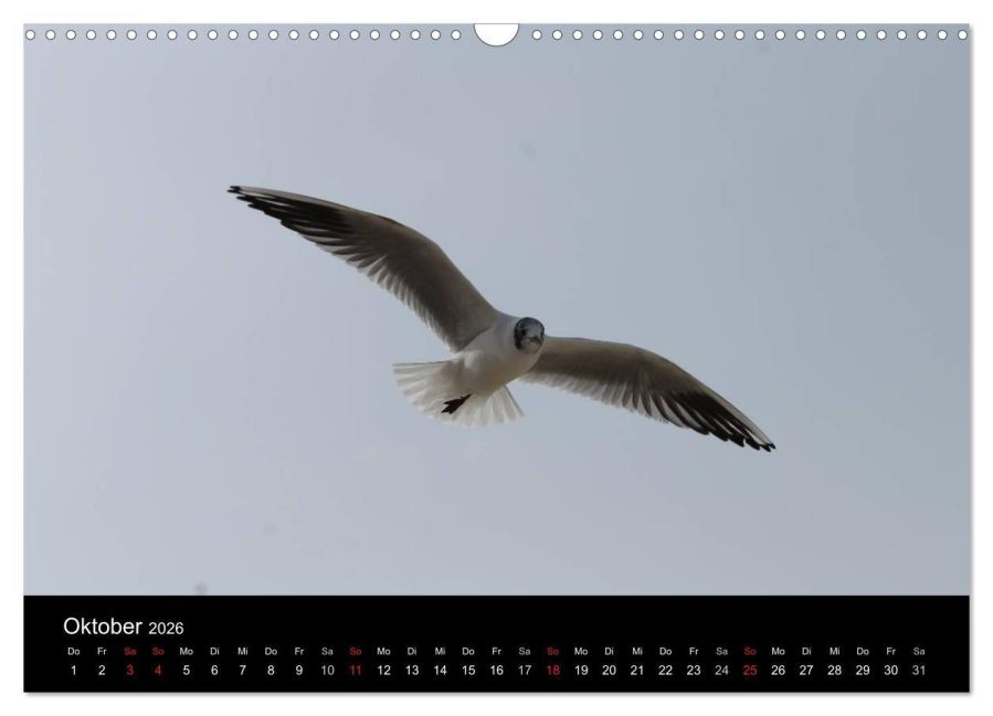 additionalImage2