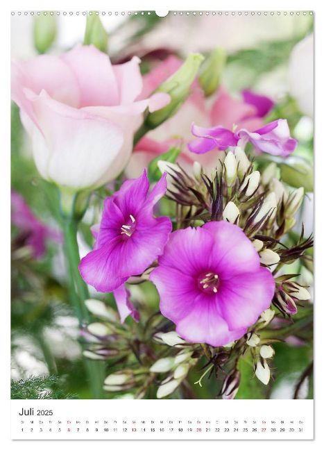 additionalImage11
