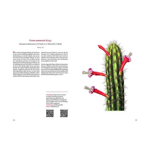 additionalImage10