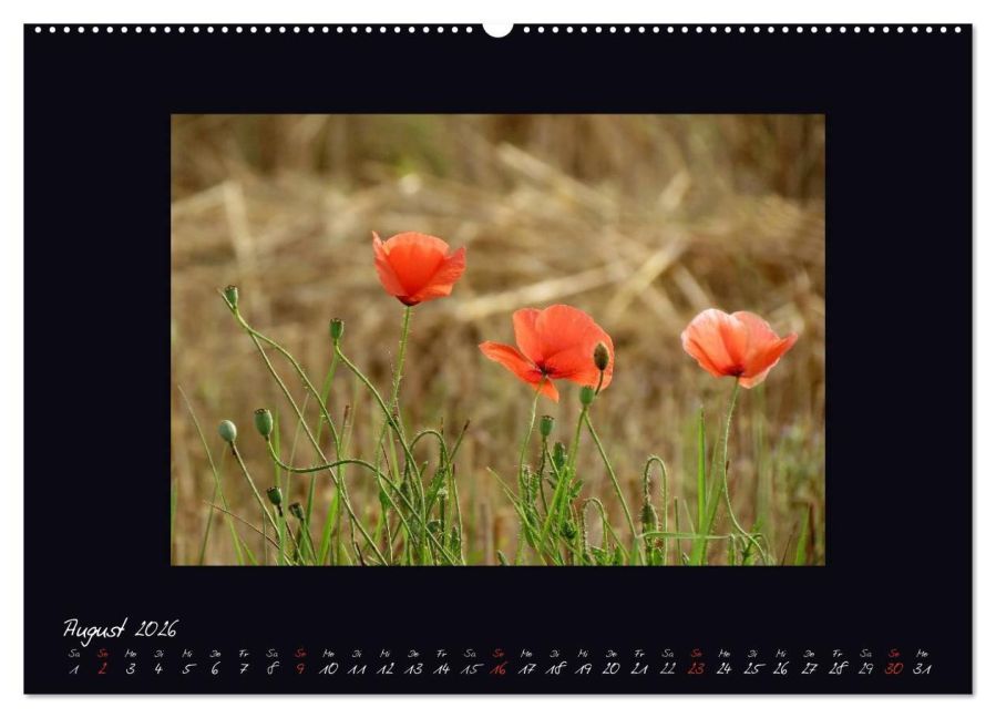 additionalImage12