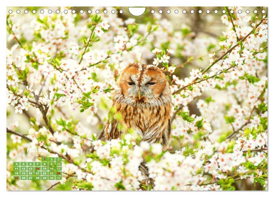 additionalImage10