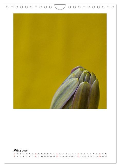 additionalImage8