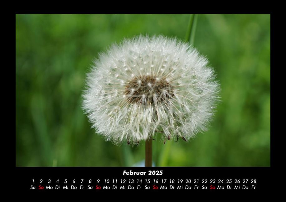 additionalImage6