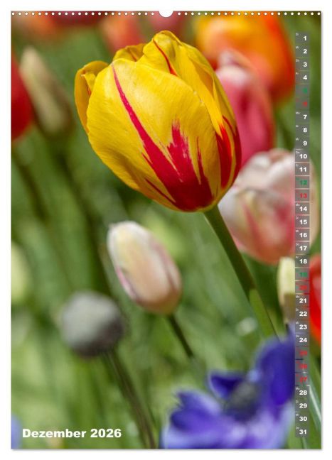 additionalImage4