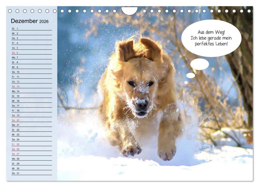 additionalImage4