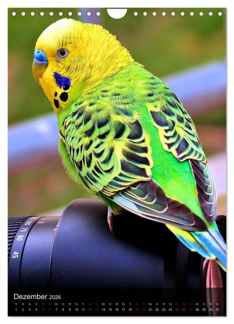 additionalImage4