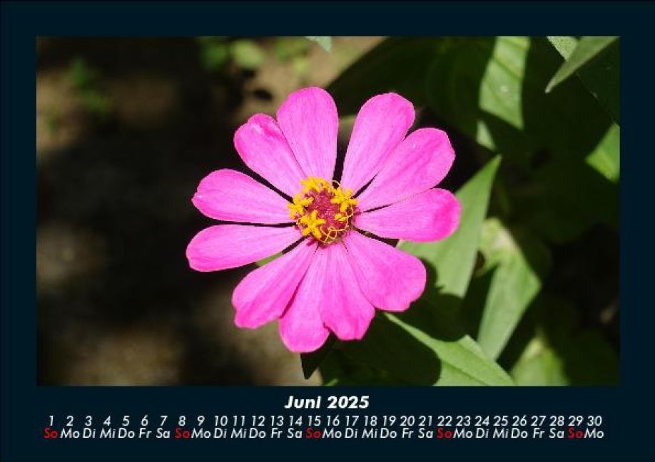 additionalImage10
