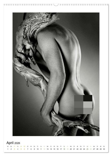 additionalImage8