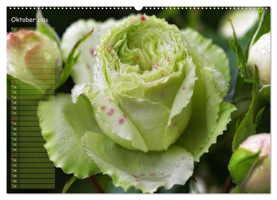 additionalImage1