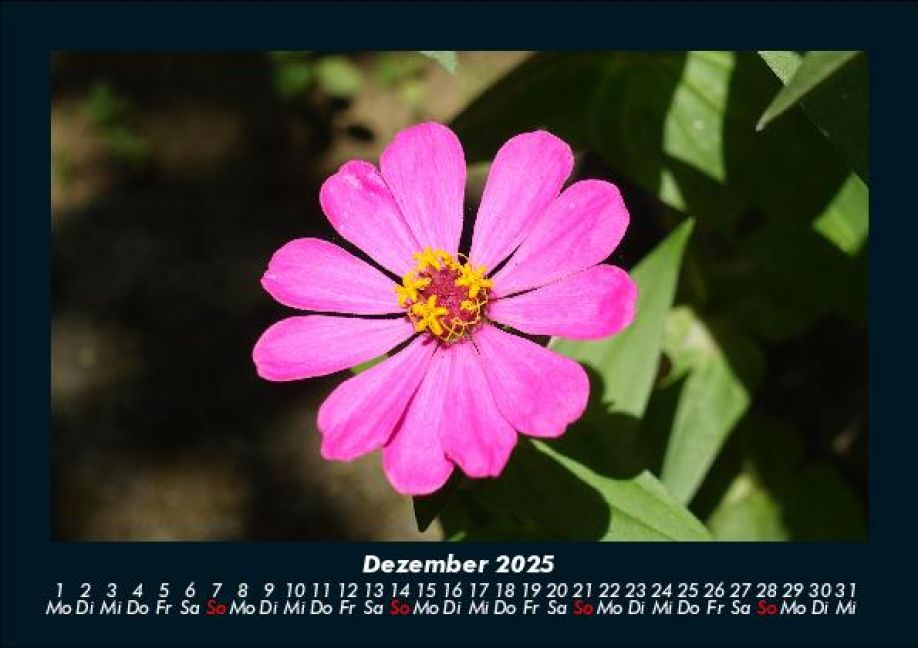 additionalImage4