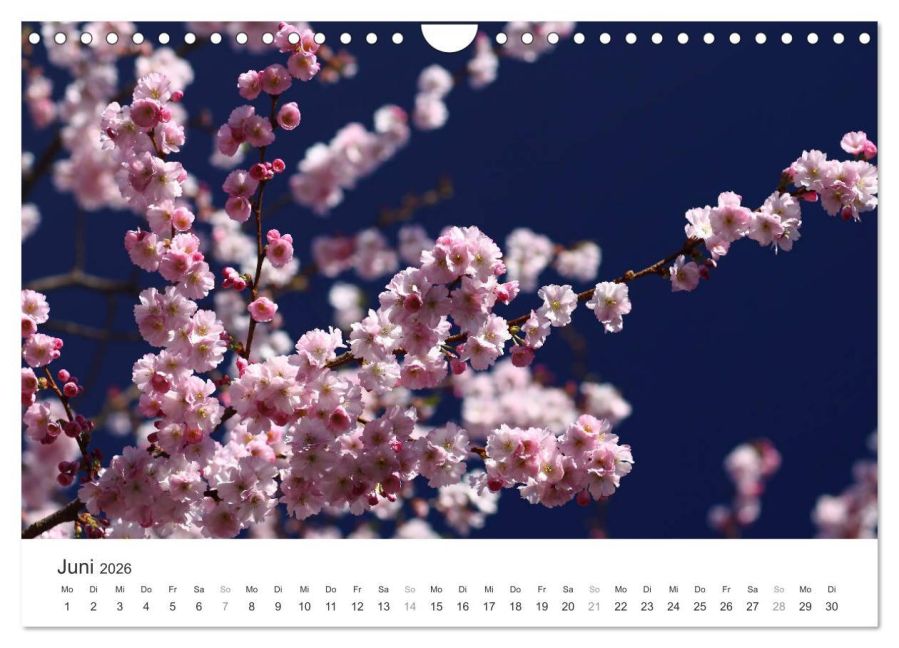 additionalImage11
