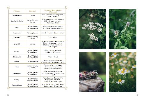 additionalImage2