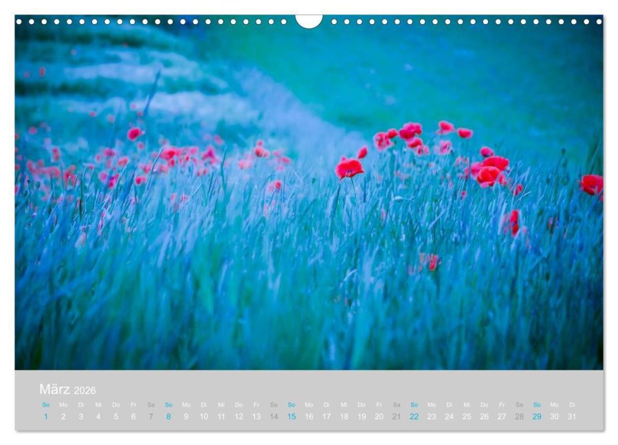 additionalImage8