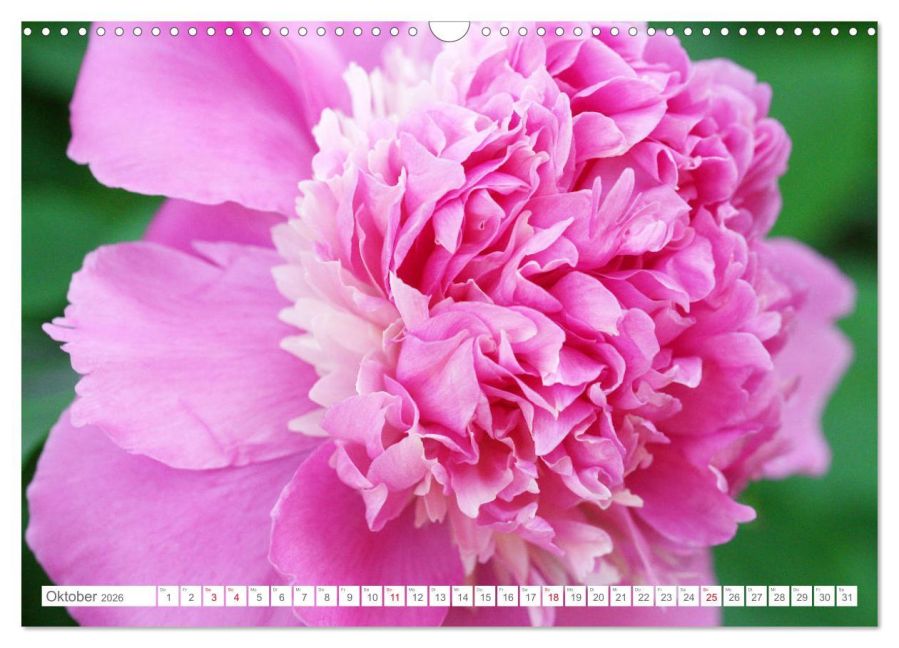 additionalImage2