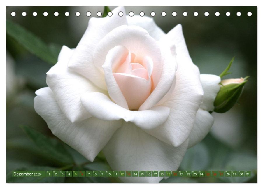 additionalImage4