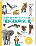 Cover-Bild zum Titel 'Mein großes Buch der Tiergeräusche' von ''