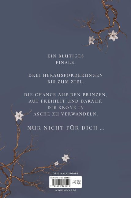 additionalImage1