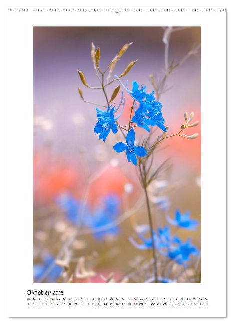 additionalImage1