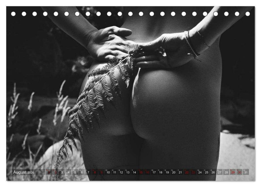 additionalImage13