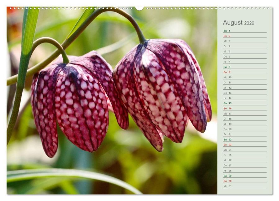 additionalImage13