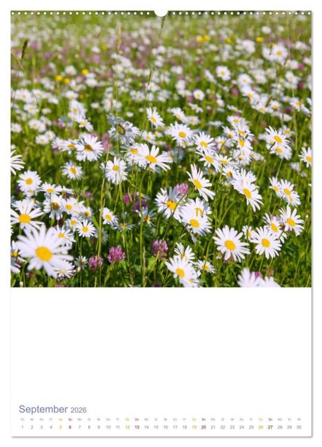 additionalImage13