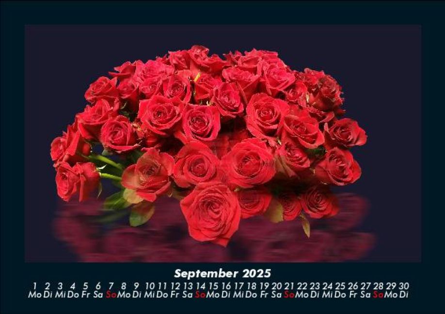 additionalImage1