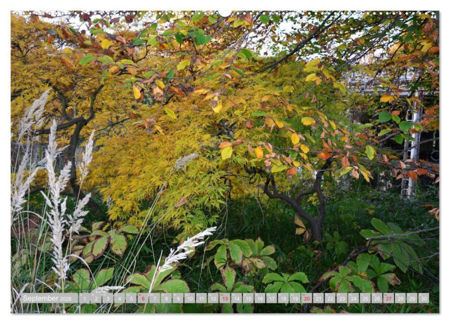 additionalImage13