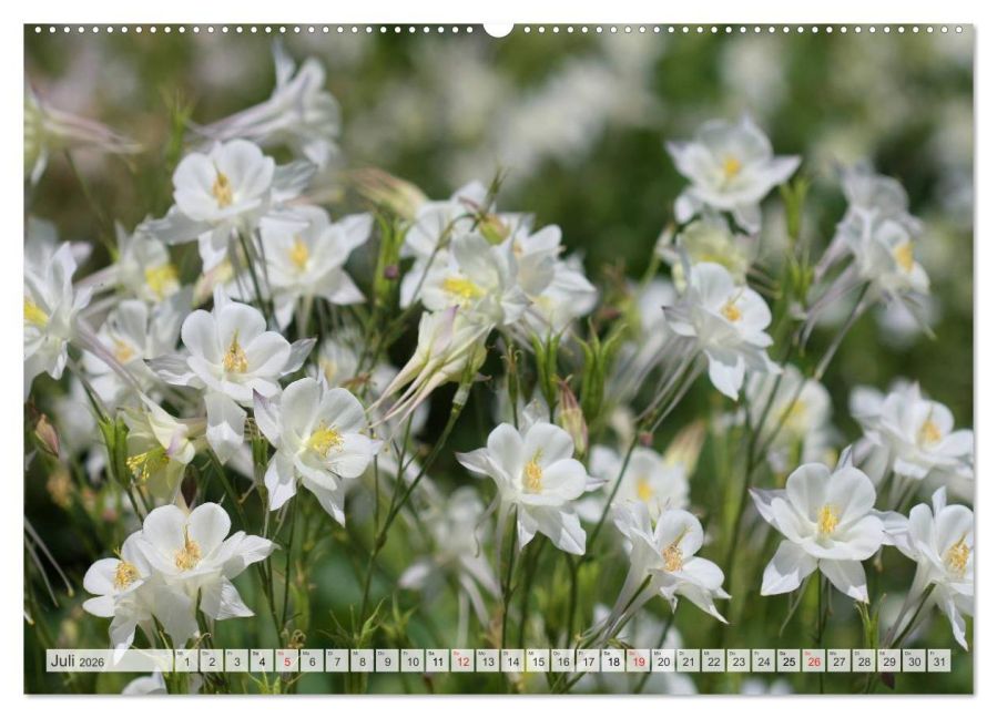 additionalImage12