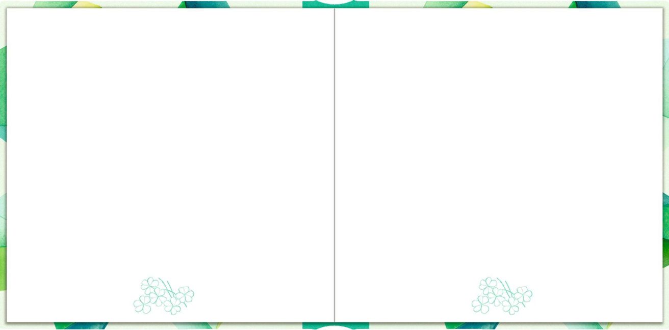 additionalImage2