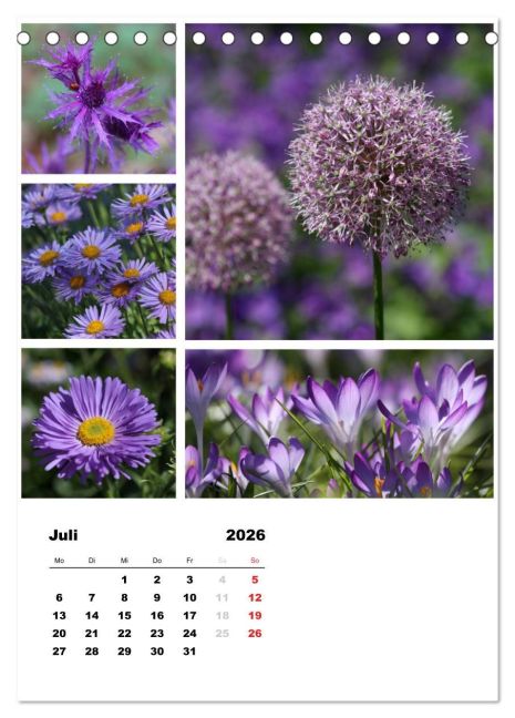 additionalImage12