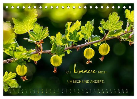 additionalImage11
