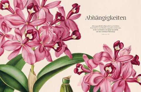 additionalImage13