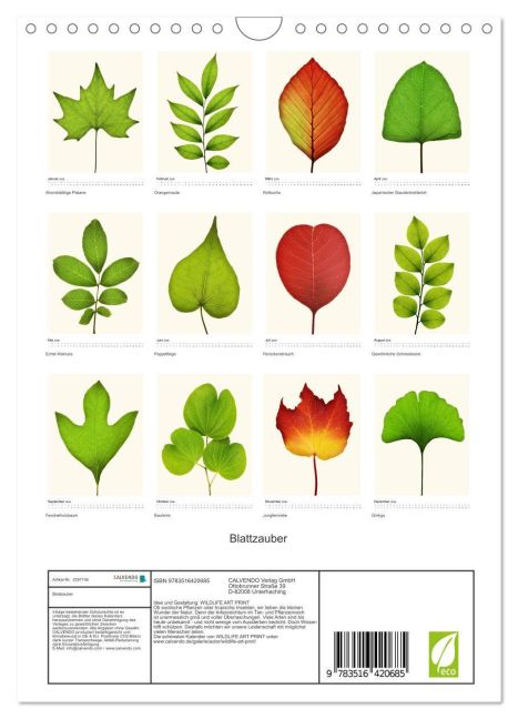 additionalImage5