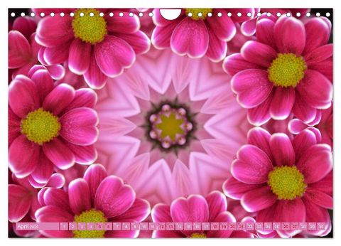 additionalImage6