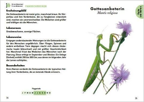 additionalImage2