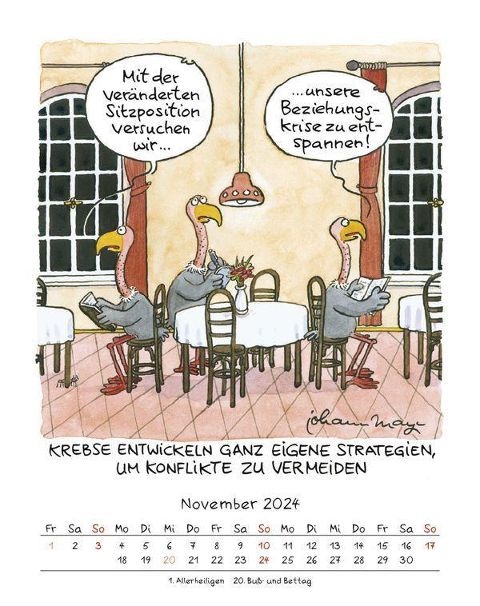 additionalImage11